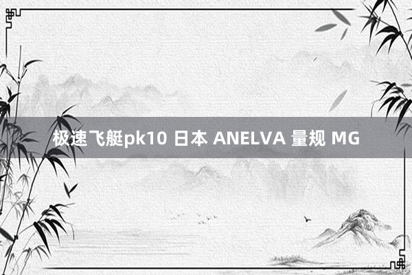 极速飞艇pk10 日本 ANELVA 量规 MG