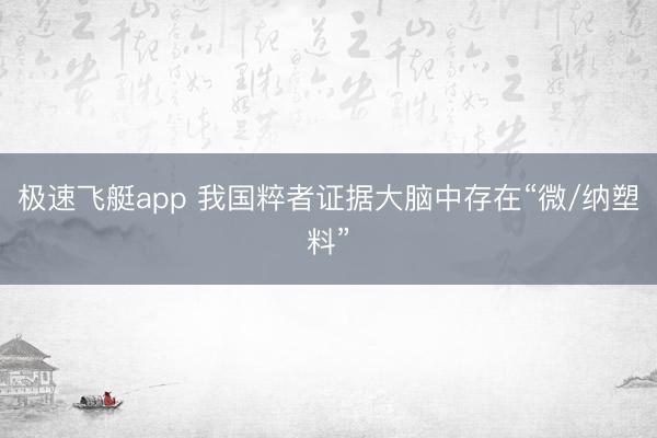 极速飞艇app 我国粹者证据大脑中存在“微/纳塑料”